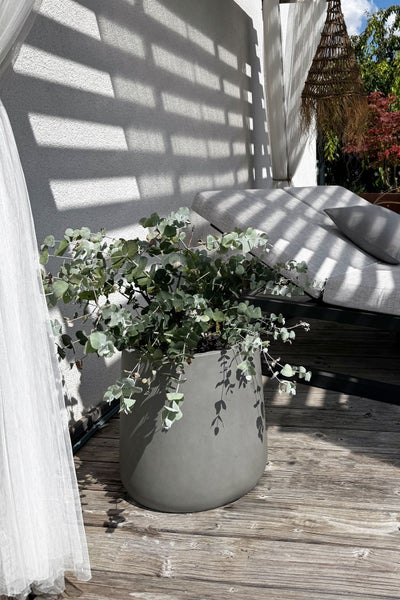 Eukalyptus-Pflanze in einem runden, grauen Pflanzgefäß auf einer modernen Holzterrasse mit Sonnenliege und hellen Vorhängen.