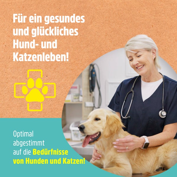 Tierarzt untersucht einen Golden Retriever, Text: Für ein gesundes und glückliches Hunde- und Katzenleben
