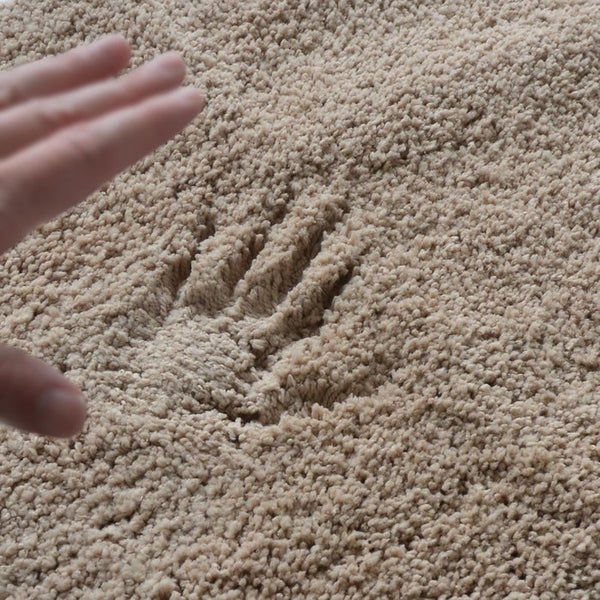 Hand berührt Teppichflor