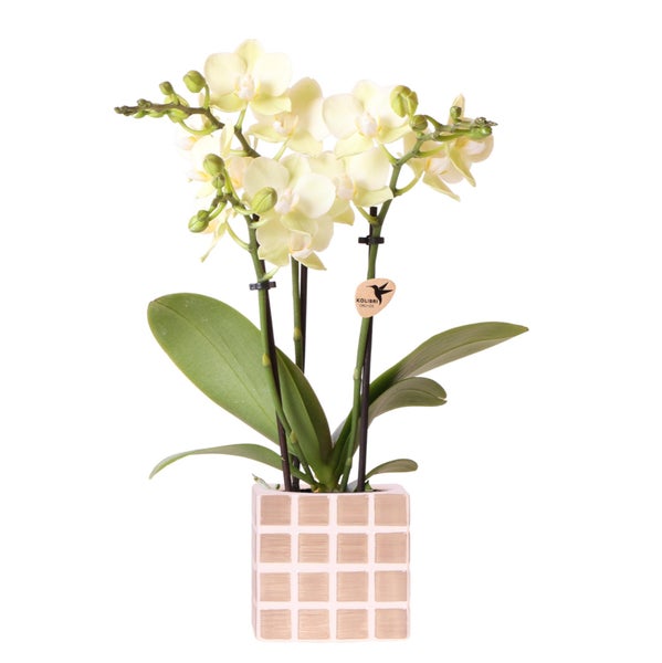 Übertopf-Trio Mosaik-Würfel - Set mit 3 bunten Töpfen - rosa-violett - für 9cm Töpfe
