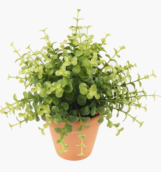Künstlicher Orangenbaum im schwarzen Topf mit grünen Blättern und orangefarbenen Früchten.