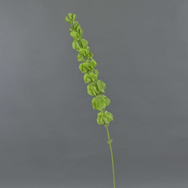 Künstlicher Zweig mit grünen kelchförmigen Blättern.