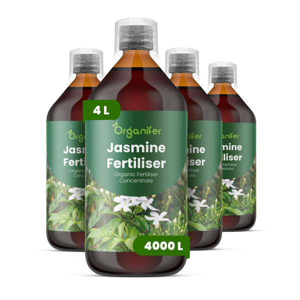 Vier Flaschen Organifer Jasmin-Dünger, organisches Düngerkonzentrat, 4 Liter.