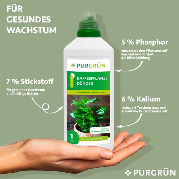 Purgrün Kaffeepflanze-Dünger 1 Liter