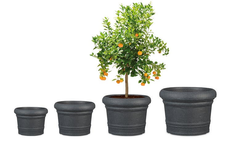 Scheurich Formia 40, Pflanzgefäß/Blumentopf/Pflanzkübel, rund,  aus Kunststoff Farbe: Schwarz-Granit, 40 cm Durchmesser, 29,7 cm hoch, 20,5 l Vol.