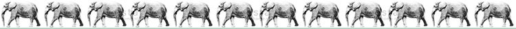 ESTAhome XXL-Tapetenbordüre Elefant Schwarz und Weiß - 400 cm x 23,25 cm - 158710