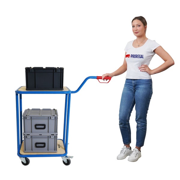 Frau im T-Shirt mit Proregal Logo neben blauem Etagenwagen mit zwei Ebenen, beladen mit schwarzen und grauen Euroboxen.
