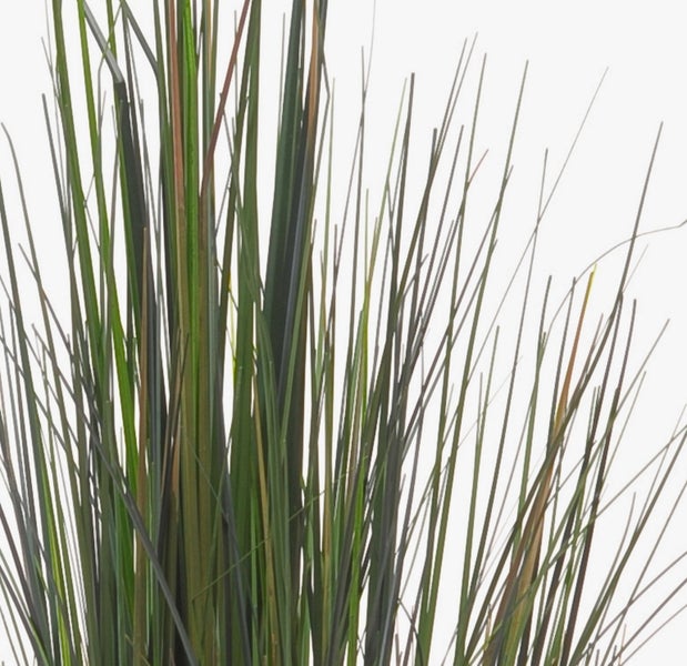 Detailansicht eines grünen Blattes und Stiels einer Kunstpflanze.