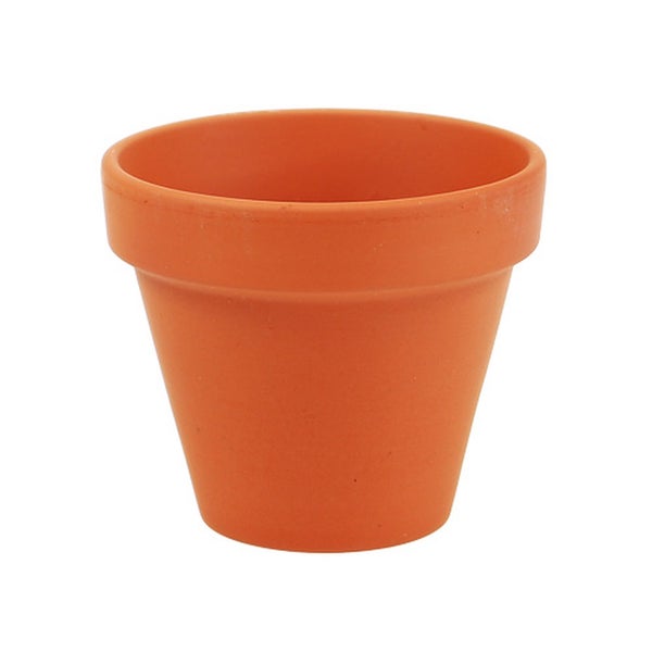 Detailansicht eines Terrakotta Blumentopfes