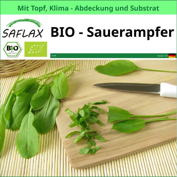 Saflax Bio Sauerampfer Pflanze mit Topf, Klimaabdeckung und Substrat auf einem Schneidebrett mit Messer