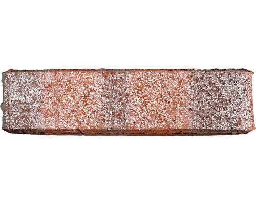 Pflasterklinker Wismar rot blau bunt, 10x20x5,2cm