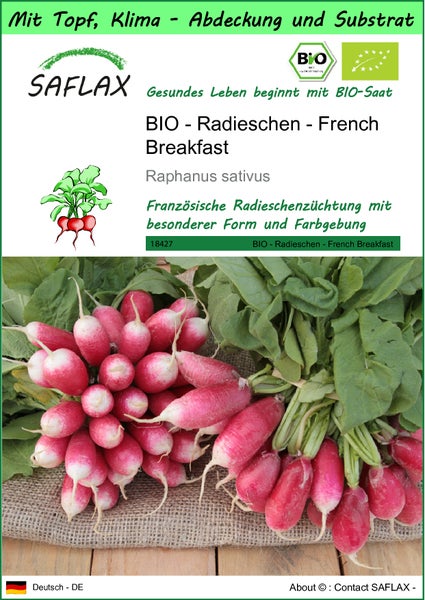 SAFLAX Garden to go - BIO - Radieschen - French Breakfast - Raphanus sativus - 150 Samen - Mit Topf, Klima - Deckel und Anzuchtsubstrat