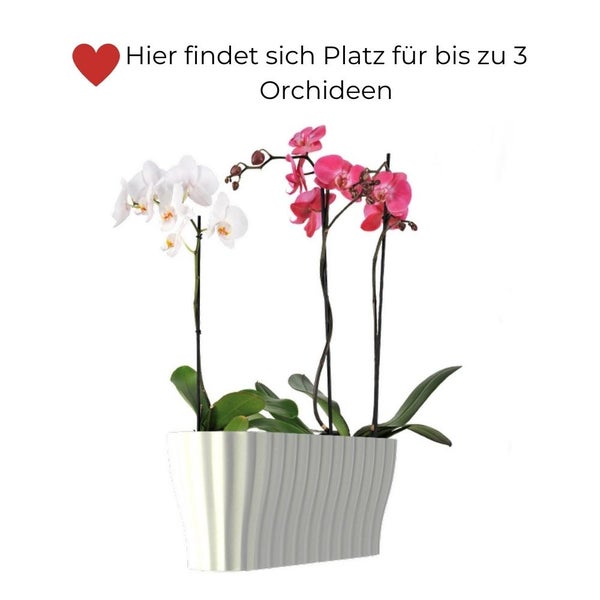Orchideentopf Blumentopf Blumenkasten für Orchideen Übertopf mehrere Pflanzen Kunststoff weiß