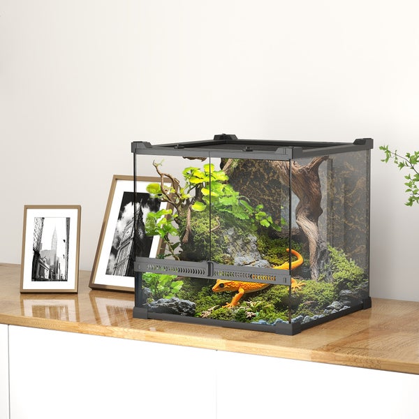 Glasterrarium mit Fronttüren und Belüftung, ausgestattet mit Gecko, Pflanzen und Moos, auf einem Sideboard neben Bilderrahmen platziert.