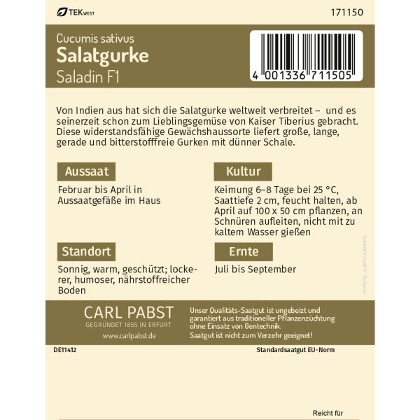 Salatgurke lang & bitterfrei Saladin F1 Samen von Pabst Keimkraft