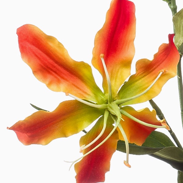Detailansicht einer künstlichen Gloriosa Ruhmeskrone mit Blütenknospen und Blättern.