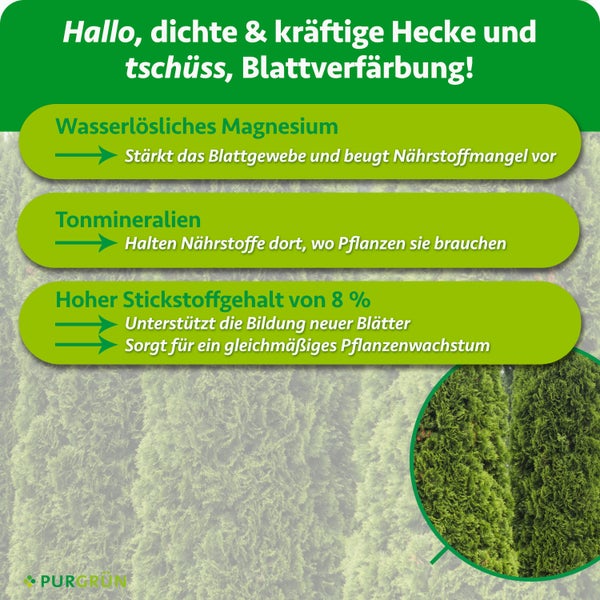 Infografik zum Purgrün Heckendünger mit Vorteilen von Magnesium, Tonmineralien und Stickstoff für gesundes Heckenwachstum.