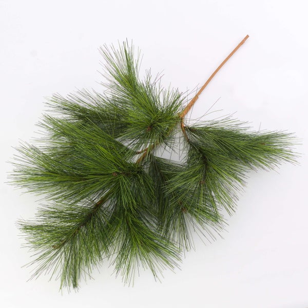 Kiefernzweig mit langen grünen Nadeln für Weihnachtsdekorationen und Gestecke.