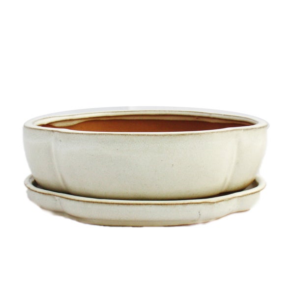 Pot Bonsaï Ovale Avec Soucoupe - Grès Beige Clair, 26x21x7,5 Cm, Trous Drainage, Yixing - 9