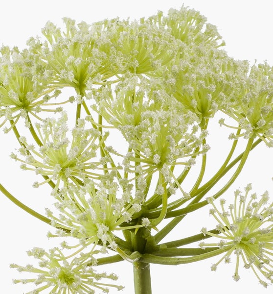 Künstliche Wilde Möhre am Stiel in Grün und Weiß aus Kunststoff mit filigranen Doldenblüten.