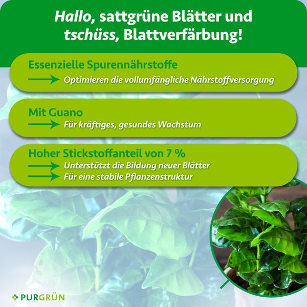Infografik zum Purgrün Pflanzendünger mit Hinweisen zu Spurennährstoffen, Guano und Stickstoffgehalt für gesundes Pflanzenwachstum.