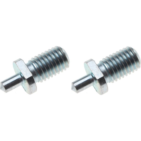 Nahaufnahme einer Rhododendronblüte mit Blättern