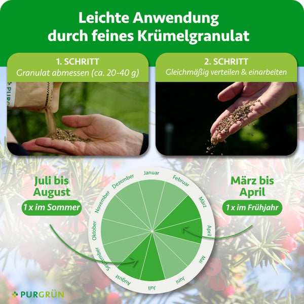 Düngeranwendung: 1. Schritt circa 20 bis 40 Gramm abmessen, 2. Schritt verteilen. Kalender: März bis April, Juli bis August. Purgrün Logo.