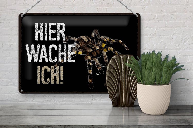 Blechschild Spruch 30x20cm Spinne hier wache ich eigene Gefahr