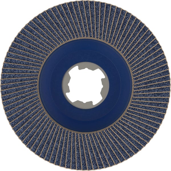 Schleiffächerscheibe