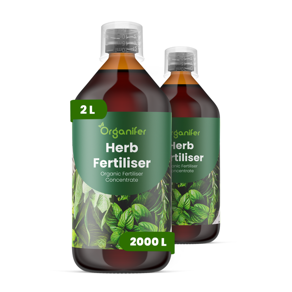 Organifer Wüstenrosen-Dünger, organisches Konzentrat, zwei Liter für bis zu zweitausend Liter Gießwasser.