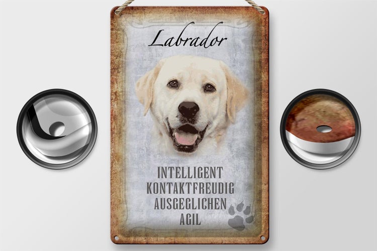 Blechschild Spruch 20x30cm Labrador Hund Schild