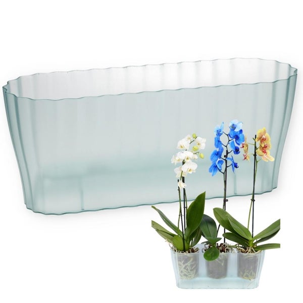 Orchideentopf Blumentopf Blumenkasten für Orchideen Übertopf mehrere Pflanzen durchsichtig Kunststoff glas