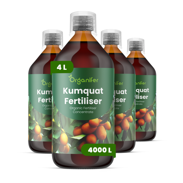 Vier Flaschen Organifer Kumquat Dünger, organisches Düngerkonzentrat, jeweils 4 Liter ausreichend für insgesamt 4000 Liter Gießwasser.