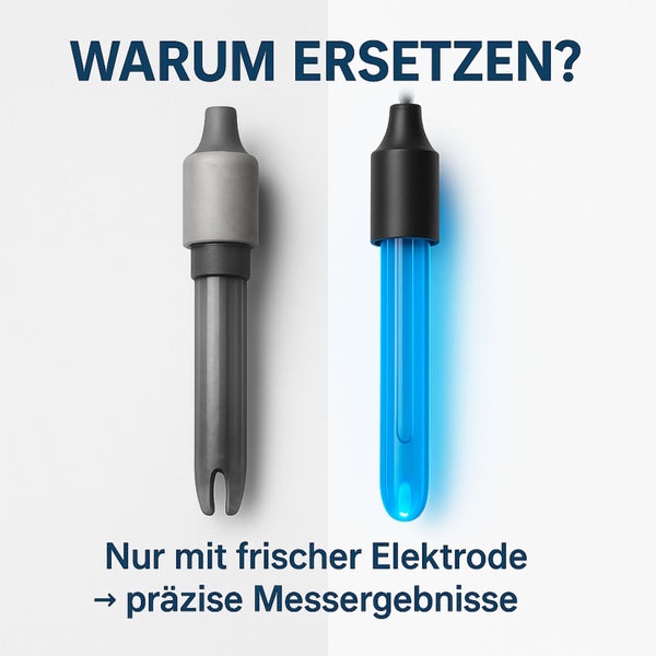 Abbildung zweier Elektroden zur Messung mit frischer Elektrode