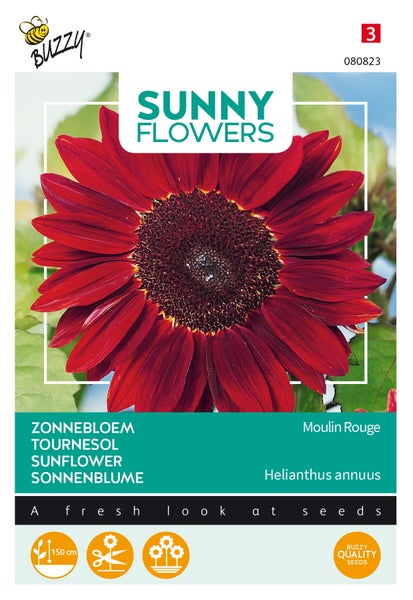 Sonnenblumen-Samenpackung mit roter Blüte