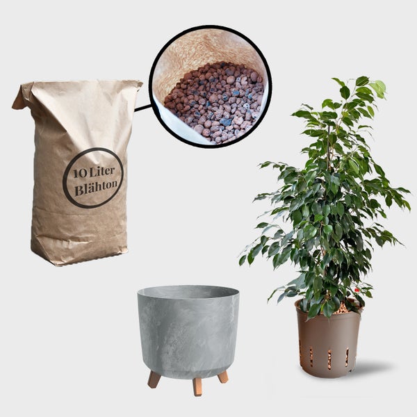 Blähton Sack, Zimmerpflanze und Pflanztopf