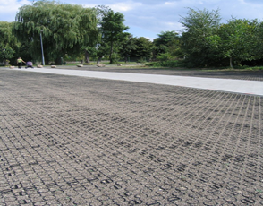 Großflächig verlegte Rasengitter zur Bodenbefestigung im Außenbereich, umgeben von Bäumen.