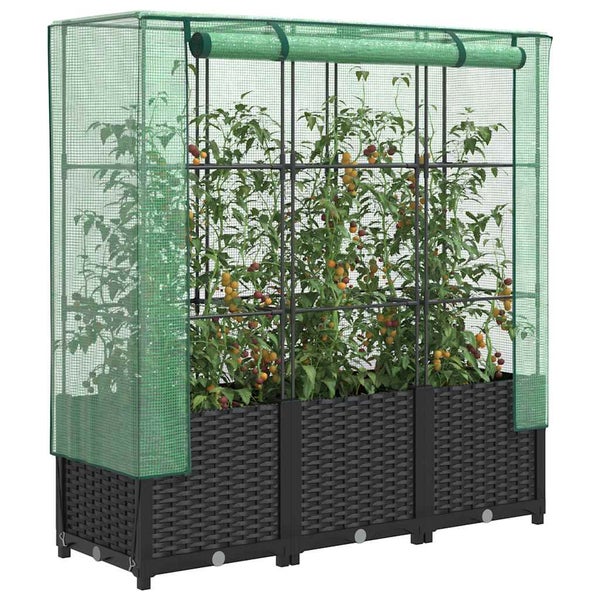 Tomatengewächshaus mit integriertem Hochbeet aus Polyrattan und grüner Gitterfolie.