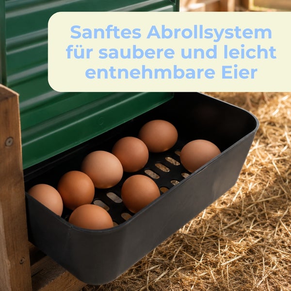 Abrollnest für Hühner mit integrierter Auffangschale und braunen Eiern auf Stroh.