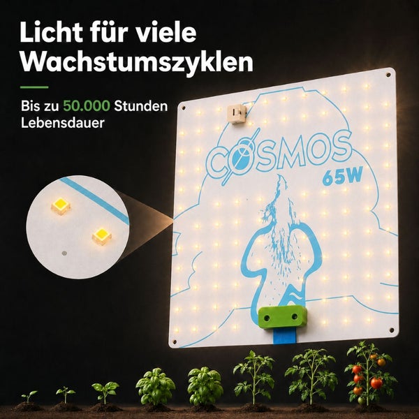 LED-Pflanzenlampe Cosmos 65 Watt mit einer Lebensdauer von circa 50.000 Stunden, gezeigt über Pflanzen in verschiedenen Wachstumsstadien.