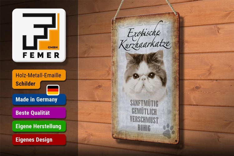 Blechschild Spruch 20x30cm exotische Kurzhaarkatze Katze