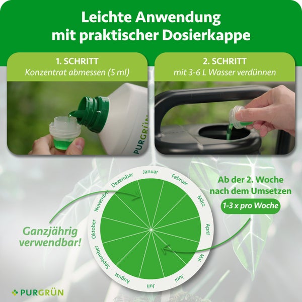 Anleitung für Flüssigdünger: 5 Milliliter Konzentrat mit 3 bis 6 Liter Wasser verdünnen. Ganzjährig 1 bis 3 Mal pro Woche anwendbar. Purgrün Logo.