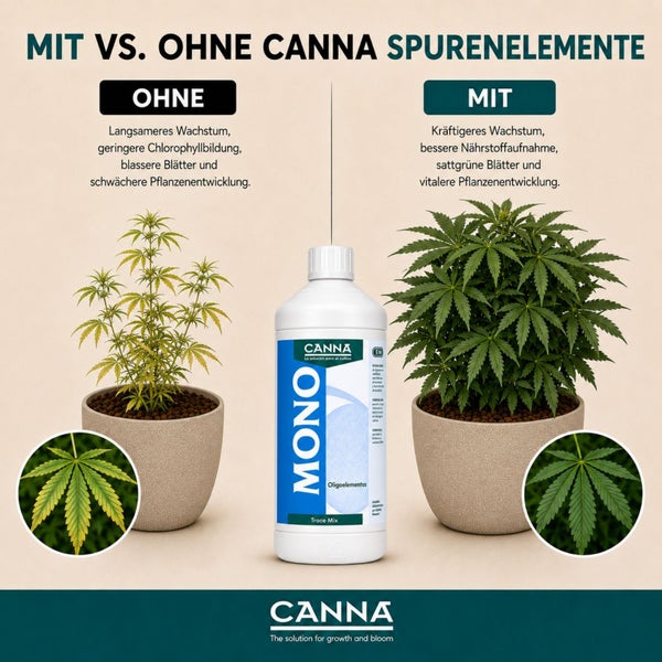 Vergleichsgrafik Canna Spurenelemente Dünger mit Pflanzeneffekt im direkten Vergleich bei Cannabis Pflanzen mit Canna Logo.