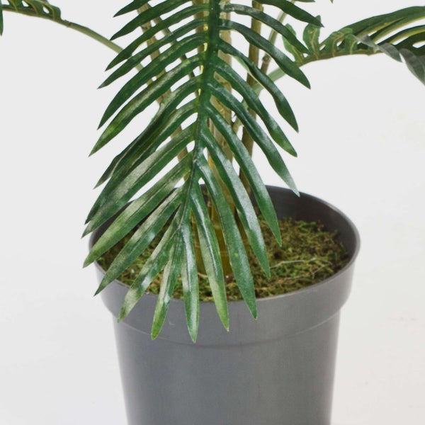Künstliche Palme in einem grauen Kunststofftopf mit Moosoberfläche.