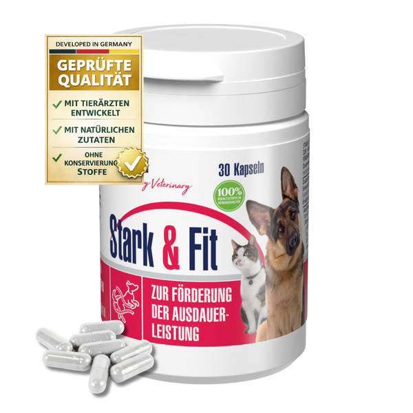 Weiße Dose mit 30 Stark und Fit Kapseln zur Förderung der Ausdauerleistung bei Hunden und Katzen, mit Qualitätssiegeln.