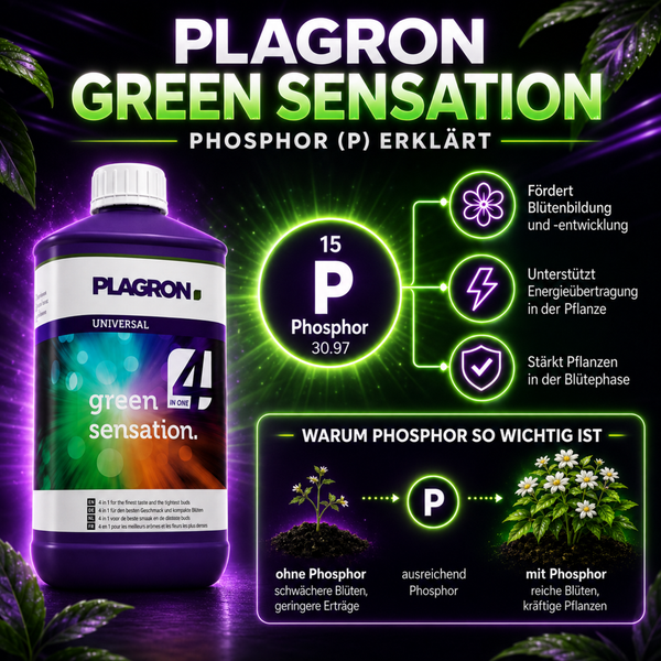 Plagron Green Sensation Pflanzendünger zur Förderung der Blütenbildung mit Erklärungen zur Wirkung von Phosphor als Pflanzennährstoff.
