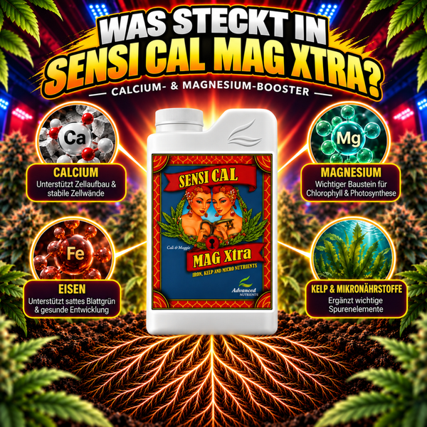 Infografik zum Pflanzendünger Sensi Cal Mag Xtra mit Nährstofferläuterungen zu Calcium, Magnesium, Eisen und Kelp für die Pflanzenpflege.