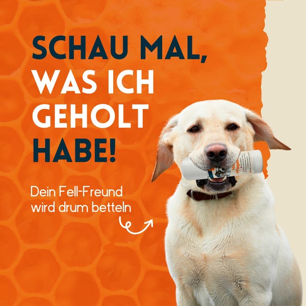 nimo® Hunde Pflegestift • mit Bienenwachs und Propolis gegen gereizte und trockene Stellen