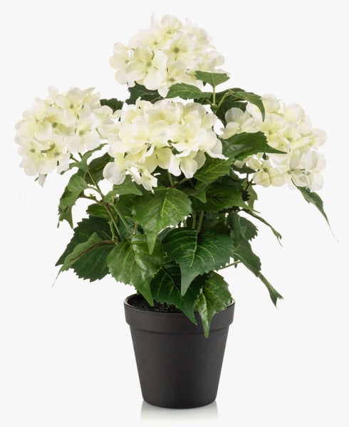 Künstliche Hortensie im schwarzen Topf mit weißen Blüten und grünen Blättern.