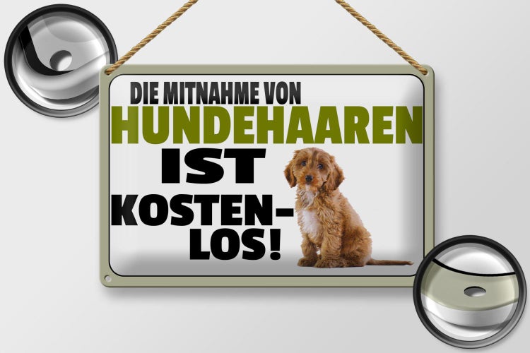 Blechschild Spruch 30x20cm Mitnahme Hundehaaren kostenlos